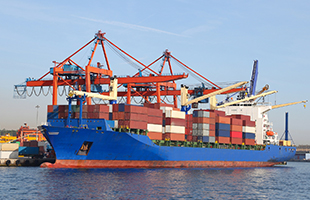 Exporting Japanese Vehicles